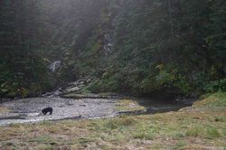 2013-alaska-ketill-svartbjorn-2