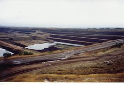 Coal_Morwell_mine_1