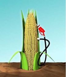 corn-ethanol-pump.jpg