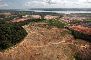 Brazil-Amazon-Deforestation