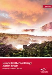 islandsbanki-geothermal-report-cover-2010.jpg
