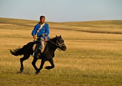 Mongolian_Horse_Rider