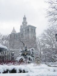 new_york_central_park_winter_948619.jpg