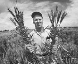 Norman_Borlaug-5