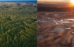 Oil_tar-sands-before-after