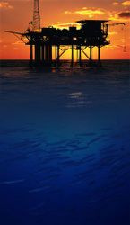 oilrig_offshore_sunset